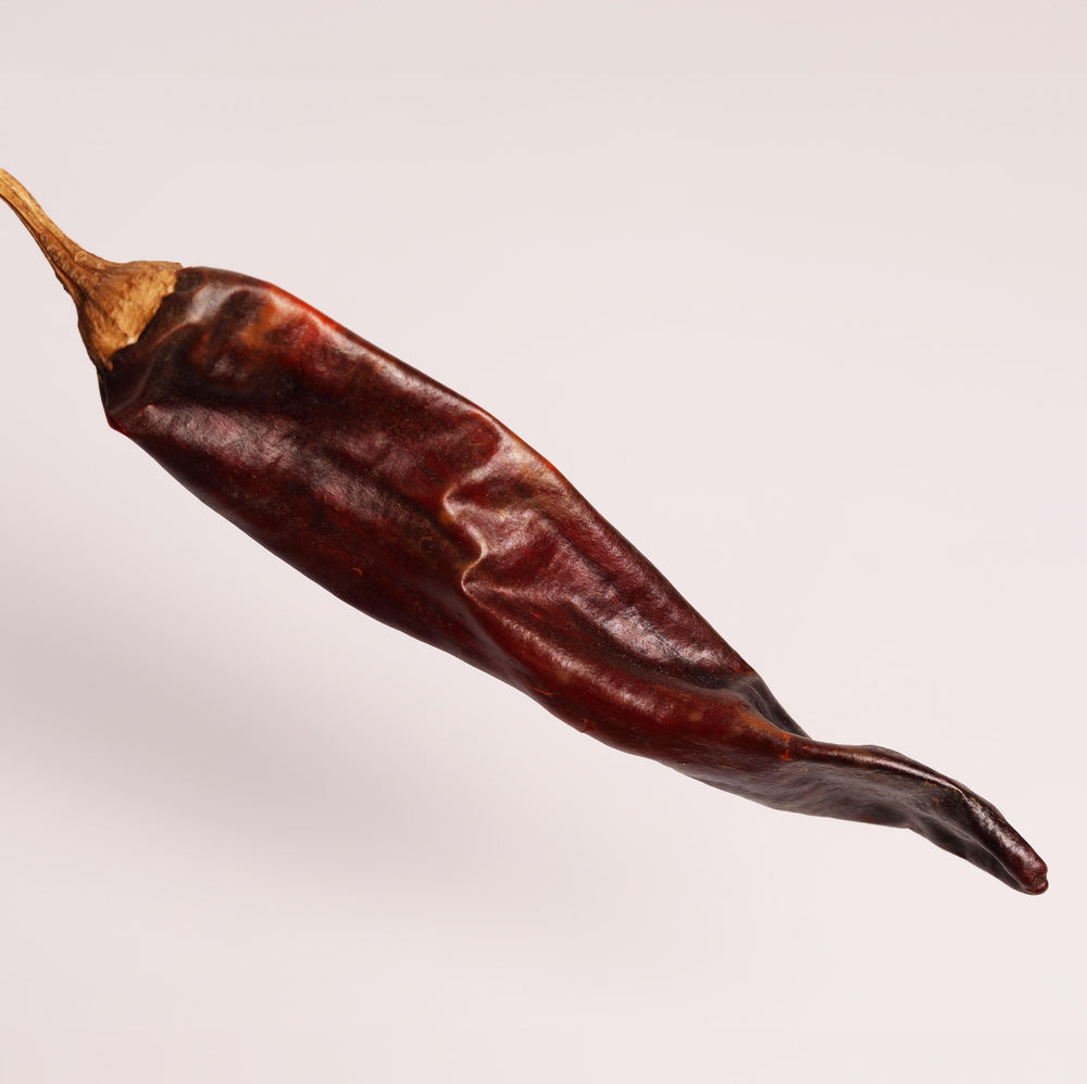 Chile guajillo